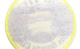 Non-Woven