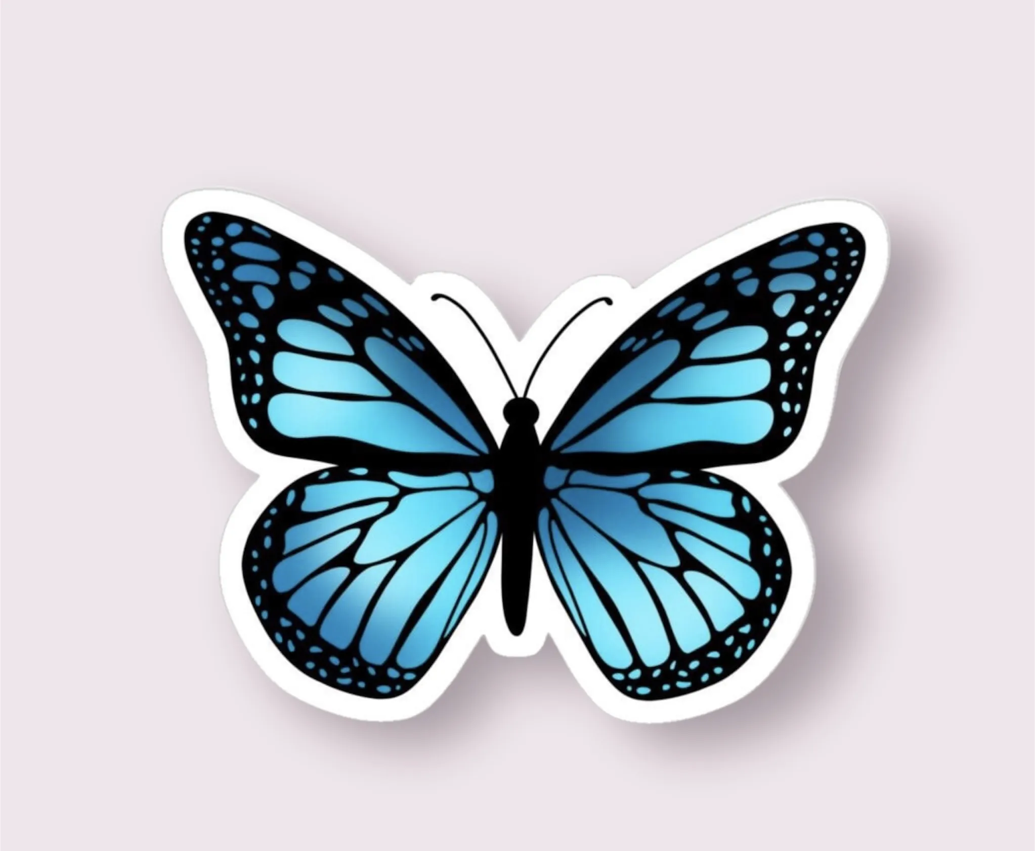 Custom Stickers - Portfolio